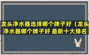 龙头净水器选择哪个牌子好（龙头净水器哪个牌子好 最新十大排名）